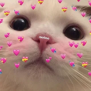 ❤ emoji Милота Telegram sticker 12 of 35
