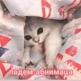 ❤ emoji Милота Telegram sticker 9 of 35