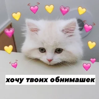 ❤ emoji Милота Telegram sticker 5 of 35