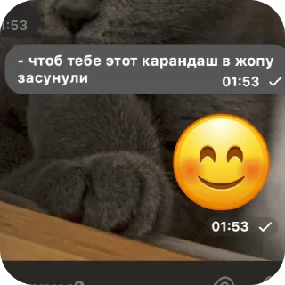 🥰 emoji Обрыгыши Telegram sticker 23 of 120