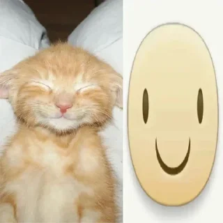 ☺️ emoji каси пак Telegram sticker 6 of 110