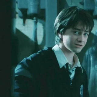 🌟 emoji Harry Potterrr :: @DudeMatya Telegram sticker 13 of 75