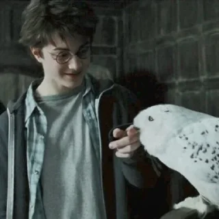 🌟 emoji Harry Potterrr :: @DudeMatya Telegram sticker 7 of 75