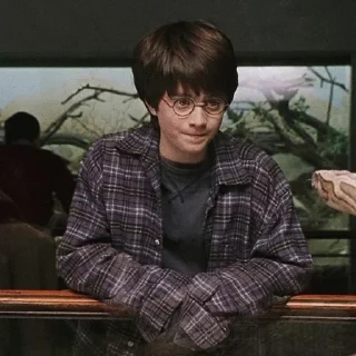 🌟 emoji Harry Potterrr :: @DudeMatya Telegram sticker 20 of 75