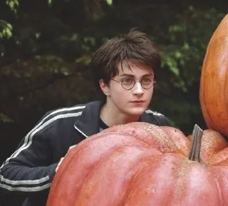 🌟 emoji Harry Potterrr :: @DudeMatya Telegram sticker 19 of 75