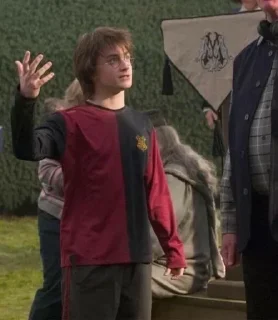 🌟 emoji Harry Potterrr :: @DudeMatya Telegram sticker 17 of 75