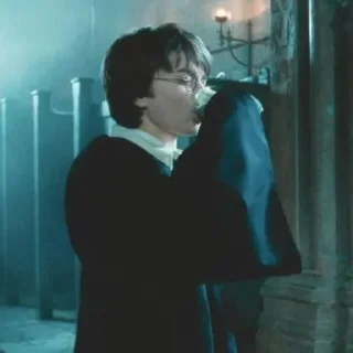 🌟 emoji Harry Potterrr :: @DudeMatya Telegram sticker 12 of 75