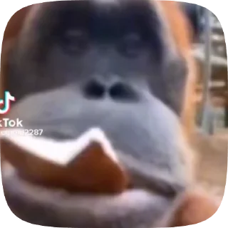 Sticker from Барахло от Чупы 2.0
