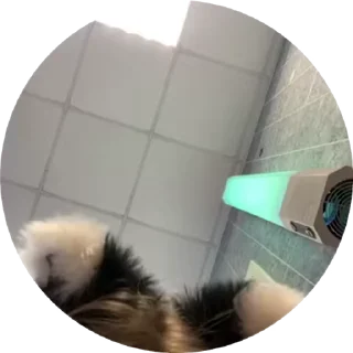 🌟 emoji машка какашка Telegram sticker 15 of 26