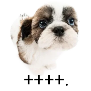 Sticker from ۰. ݁⸙ animals ִֶָ by @m2e58l