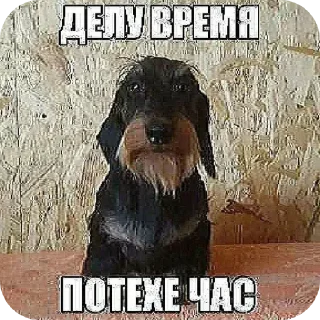 👍 emoji моча Telegram sticker 10 of 59