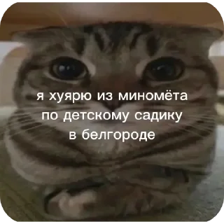 👍 emoji моча Telegram sticker 17 of 59