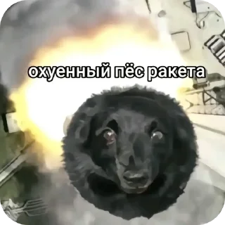 👍 emoji моча Telegram sticker 18 of 59