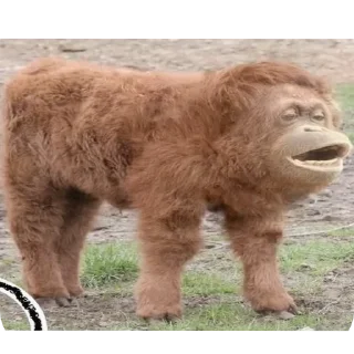 😮 emoji сумошешие животные Telegram sticker 8 of 32