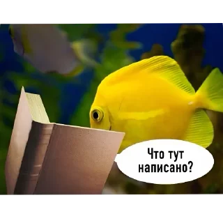 🧐 emoji сумошешие животные Telegram sticker 24 of 32