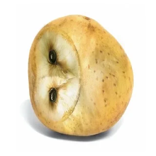 🥔 emoji сумошешие животные Telegram sticker 18 of 32