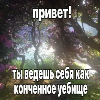 Sticker from я вахуи, честно