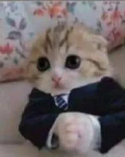 Sticker from Blush