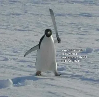 Sticker from ПИЗДЕЦ НАХУЙ БЛЯТЬ