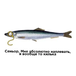 🍲 emoji Рыбки Telegram sticker 14 of 45
