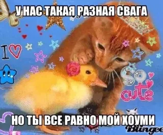 🐡 emoji Рыбки Telegram sticker 21 of 45