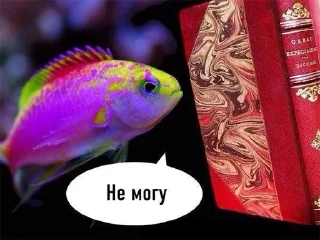 🐟 emoji Рыбки Telegram sticker 3 of 45