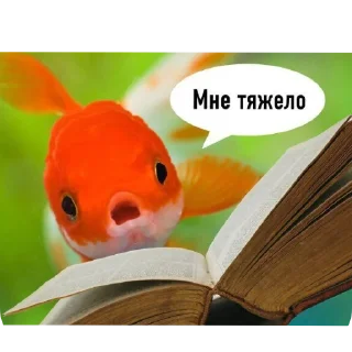 🐟 emoji Рыбки Telegram sticker 17 of 45