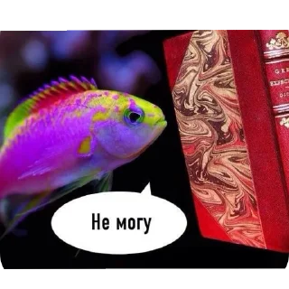 🐟 emoji Рыбки Telegram sticker 18 of 45