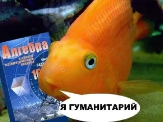 🐟 emoji Рыбки Telegram sticker 9 of 45