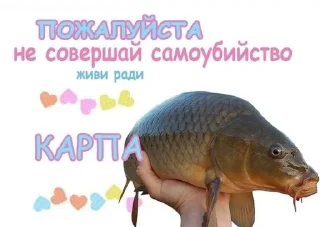 🐟 emoji Рыбки Telegram sticker 8 of 45