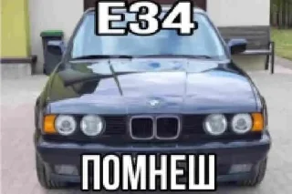🌟 emoji пракуратура жиес Telegram sticker 15 of 119