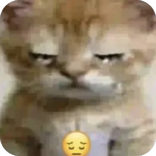 😔 emoji carrs:: @lelelevika Telegram sticker 19 of 108