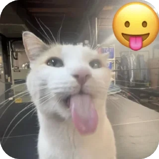 😛 emoji carrs:: @lelelevika Telegram sticker 14 of 108