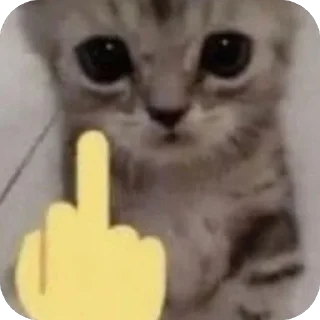 🖕 emoji carrs:: @lelelevika Telegram sticker 12 of 108