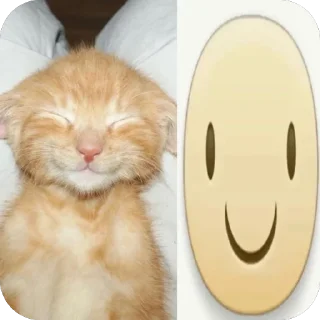 🙂 emoji carrs:: @lelelevika Telegram sticker 22 of 108