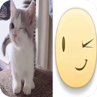 😉 emoji carrs:: @lelelevika Telegram sticker 24 of 108