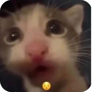 😯 emoji carrs:: @lelelevika Telegram sticker 18 of 108