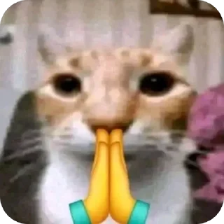 🙏 emoji carrs:: @lelelevika Telegram sticker 20 of 108