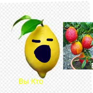 Sticker from Жизнь Вадима