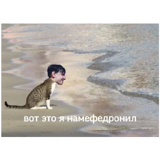 💳 emoji под действием лсп by @eskaden Telegram sticker 23 of 119