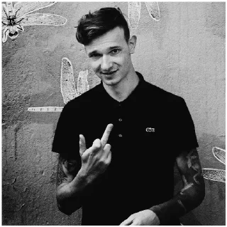 🖕 emoji под действием лсп by @eskaden Telegram sticker 7 of 119