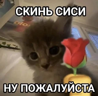 Sticker from моя тема
