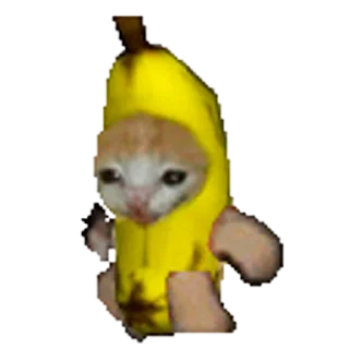🐈 emoji Больше стикеров 👉🏻 @stickertg4 Telegram sticker 3 of 50