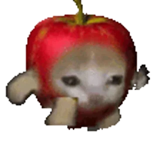 🐈 emoji Больше стикеров 👉🏻 @stickertg4 Telegram sticker 10 of 50
