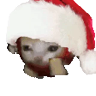 🐈 emoji Больше стикеров 👉🏻 @stickertg4 Telegram sticker 11 of 50