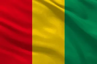 🇬🇳 emoji World Of Flags Colonial Telegram sticker 17 of 97