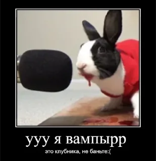 Sticker from Пипкин