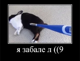 Sticker from Пипкин