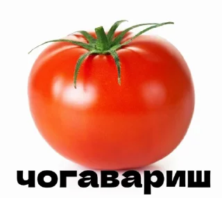 Sticker from fdpomidorov