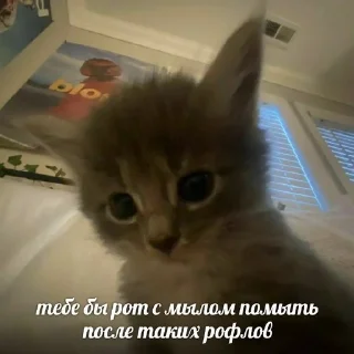 😜 emoji Я гуль тру дота sss+ Telegram sticker 5 of 42